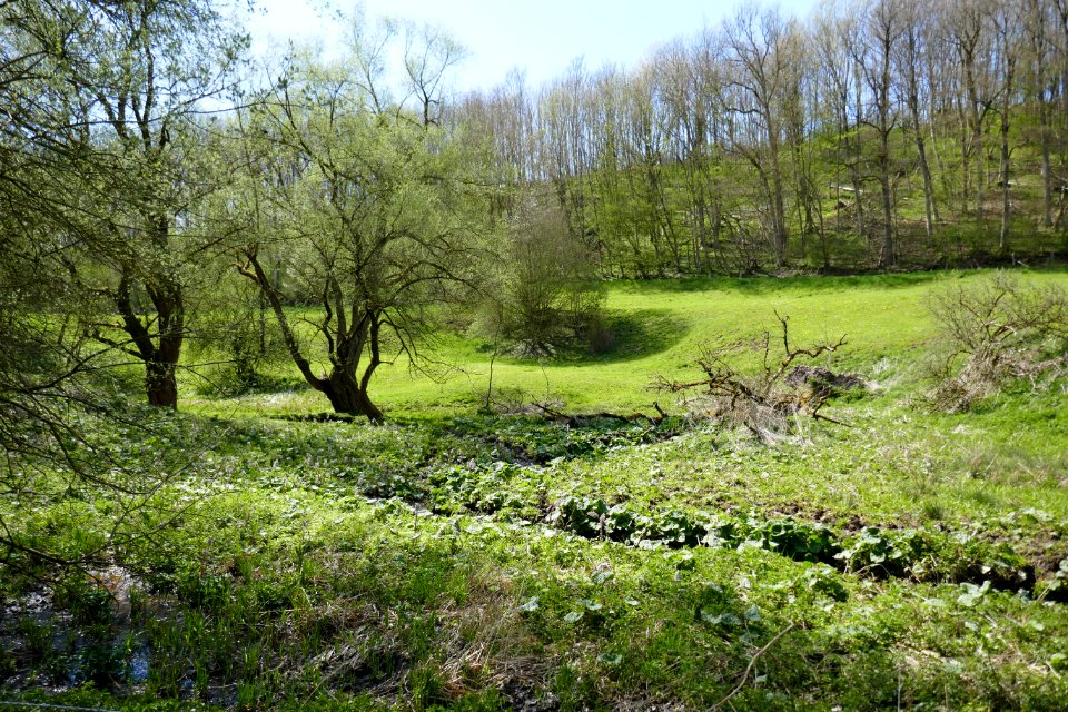 Meiste - Aschental - 5