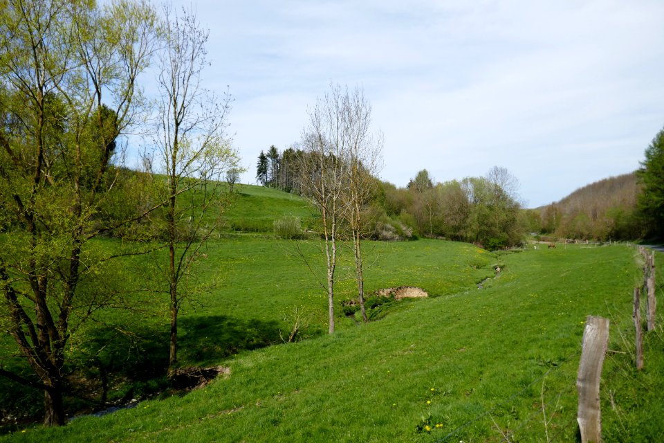 Meiste - Aschental - 2