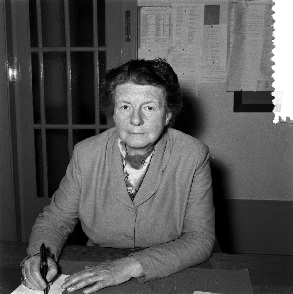 Mej W G Kernkamp , directeur 5-jarig HBS voor meisjes G van der Veenstraat A, Bestanddeelnr 907-8302