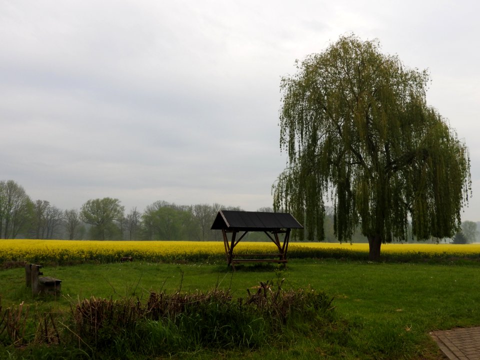 Meilitz (Wünschendorf) 4