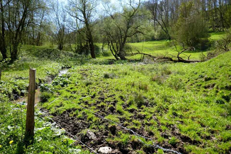 Meiste - Aschental - 3
