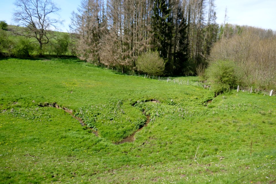 Meiste - Aschental - 4