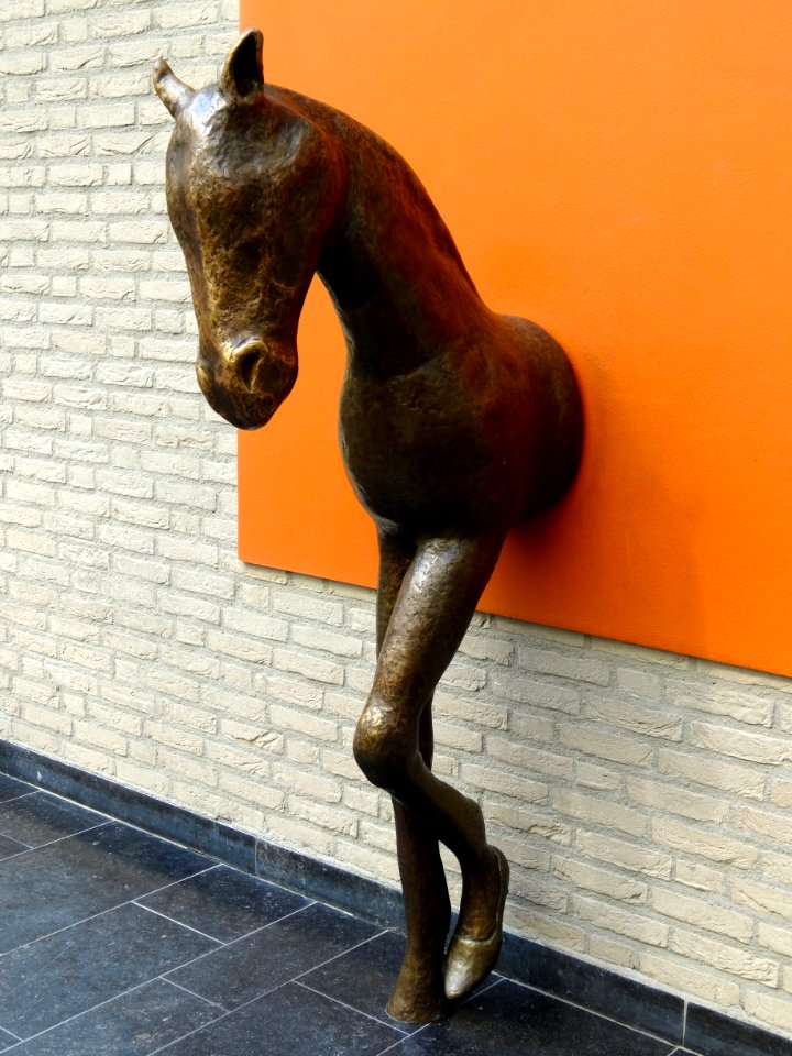 Meisjespaard Iris le Rutte Fonteinstraat UMCG