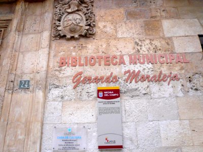Medina del Campo - Palacio del Marqués de Falces (Casa de Cultura y Biblioteca Municipal Gerardo Moraleja) 2