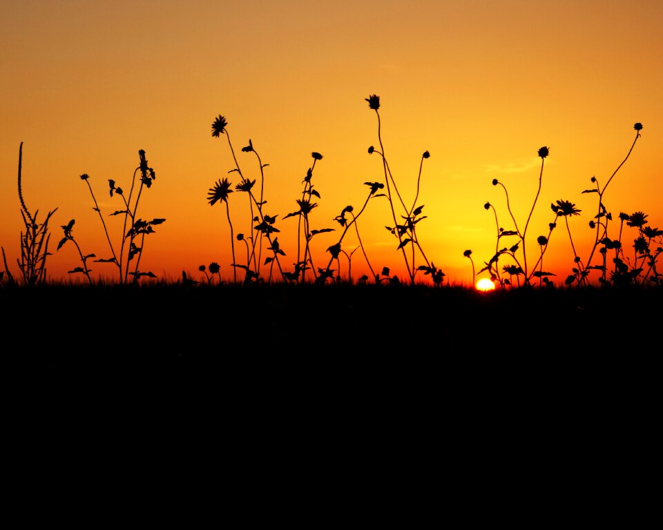 Sunrise sky nature