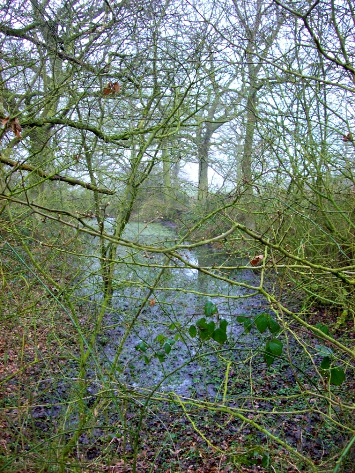 Medieval fishpond, Battlefield