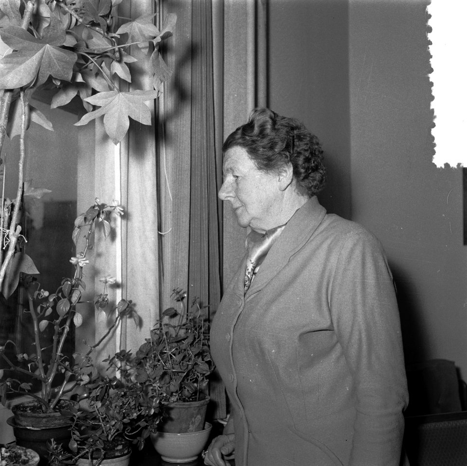 Mej W G Kernkamp , directeur 5-jarig HBS voor meisjes G van der Veenstraat A, Bestanddeelnr 907-8301
