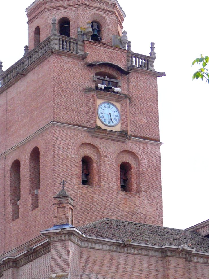 Medina del Campo - Colegiata de San Antolín 02