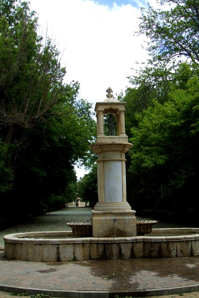 Medina de Rioseco - Parque de Osuna