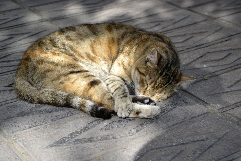 Tired street outdoor