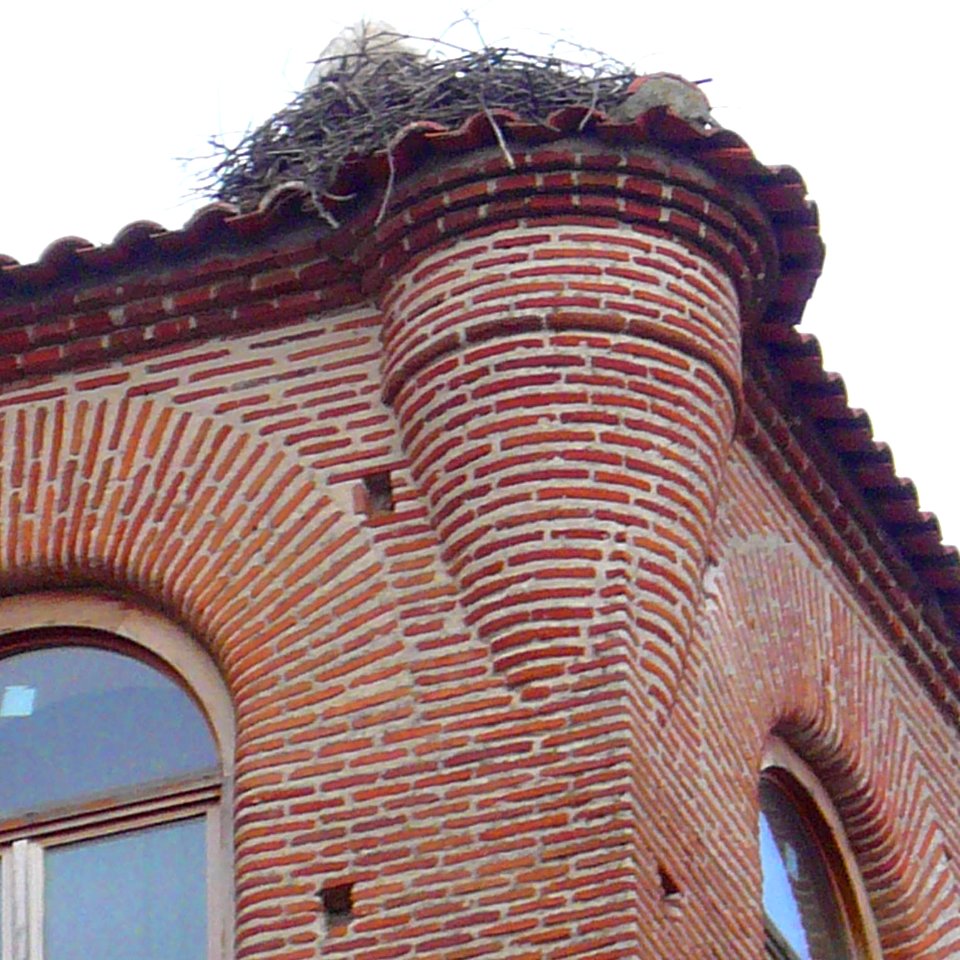Medina del Campo - Palacio de los Dueñas 1