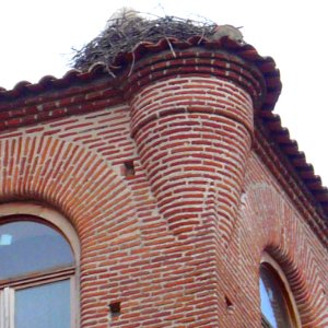 Medina del Campo - Palacio de los Dueñas 1