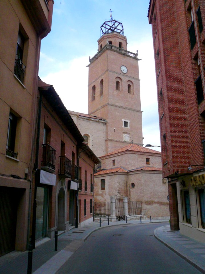 Medina del Campo - Colegiata de San Antolín 11
