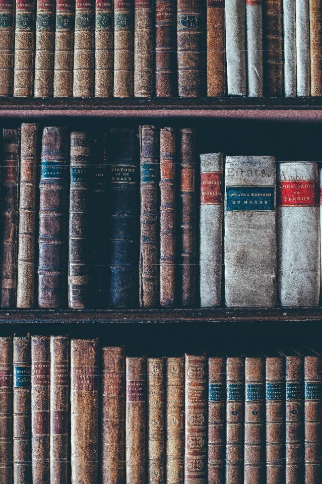 Bookshelves classic dirty