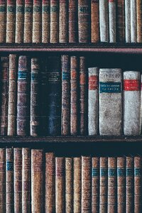 Bookshelves classic dirty