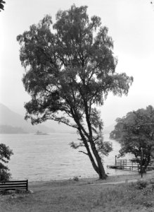 Meer in Schotland, Bestanddeelnr 254-2762