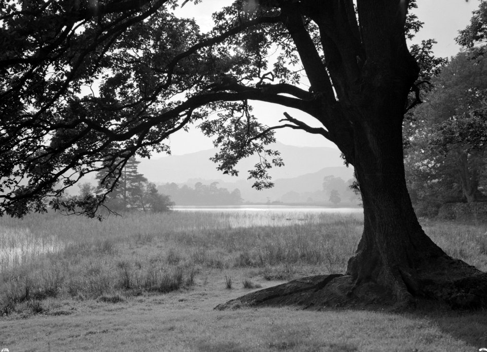 Meer Lake Windermere, Bestanddeelnr 254-2745