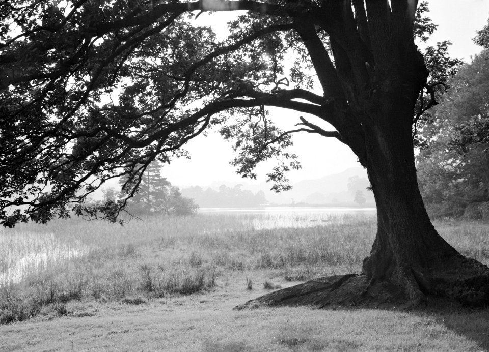 Meer Lake Windermere, Bestanddeelnr 254-2743