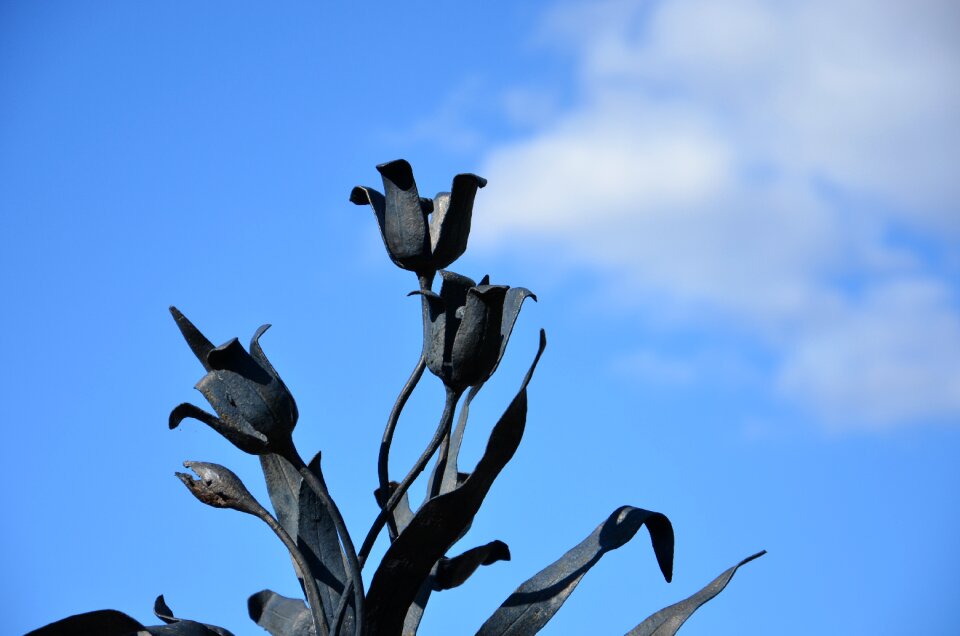 Flowers metal outdoors