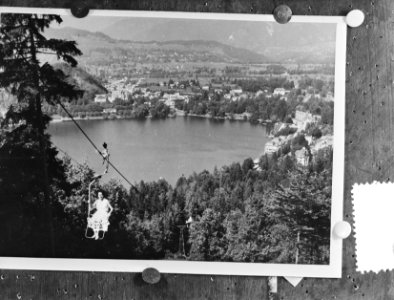 Meer van Bled in Joegoslavië waar de Europese roeikampioenschappen 1956 gehouden, Bestanddeelnr 907-9515