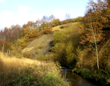 Medlock in Rocher Vale