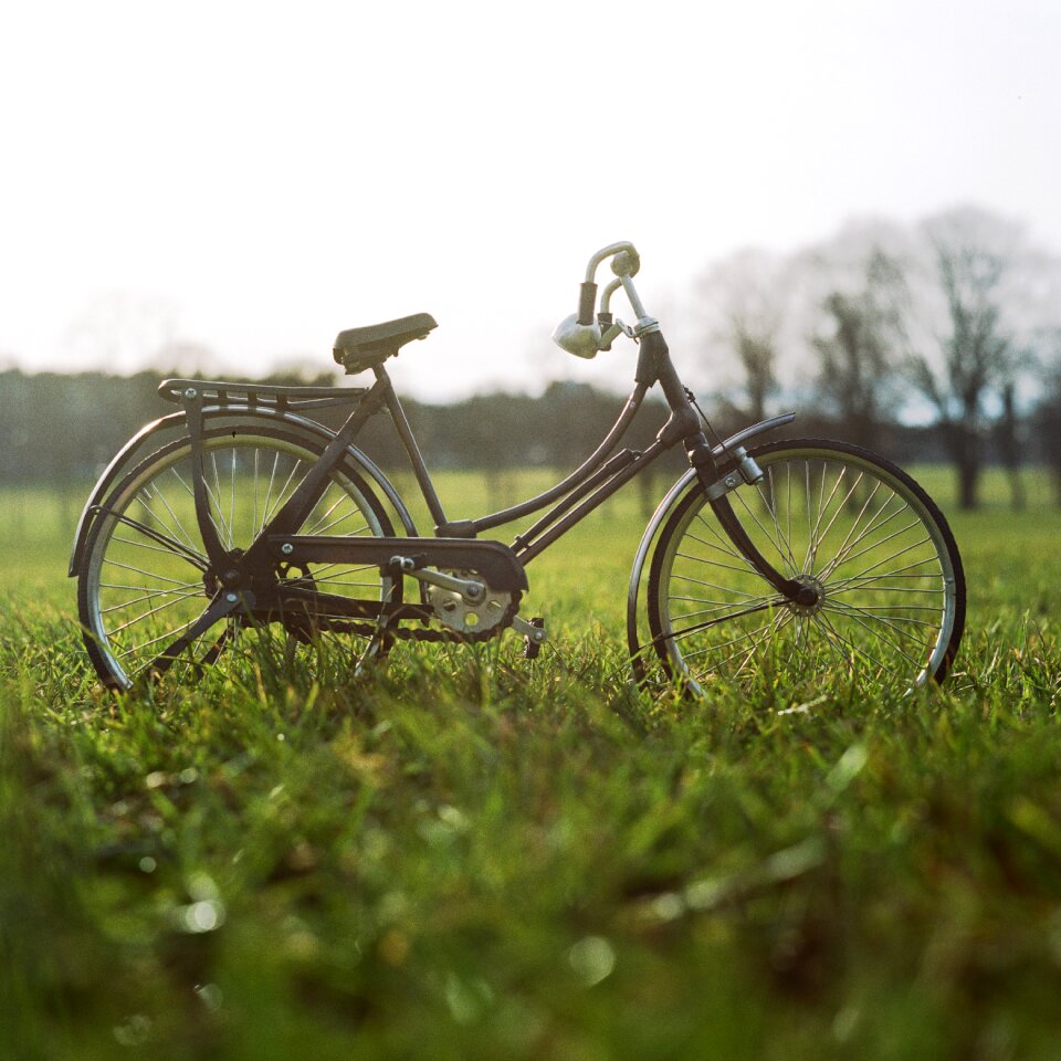 Grass outdoors spokes