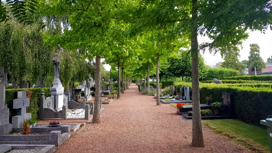 Meerssen-Algemene Begraafplaats Meerssen (4)