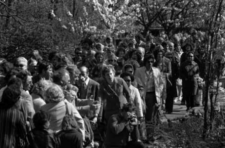 Meer dan 1 miljoen toeristen bezoeken ons land drukte op de Keukenhof, Bestanddeelnr 927-1263