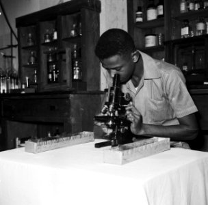 Medisch onderzoek in het Militair Hospitaal in Paramaribo, Bestanddeelnr 252-6047
