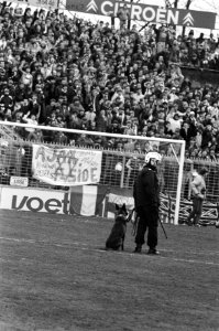 ME-ers met honden op het veld, Bestanddeelnr 932-4082