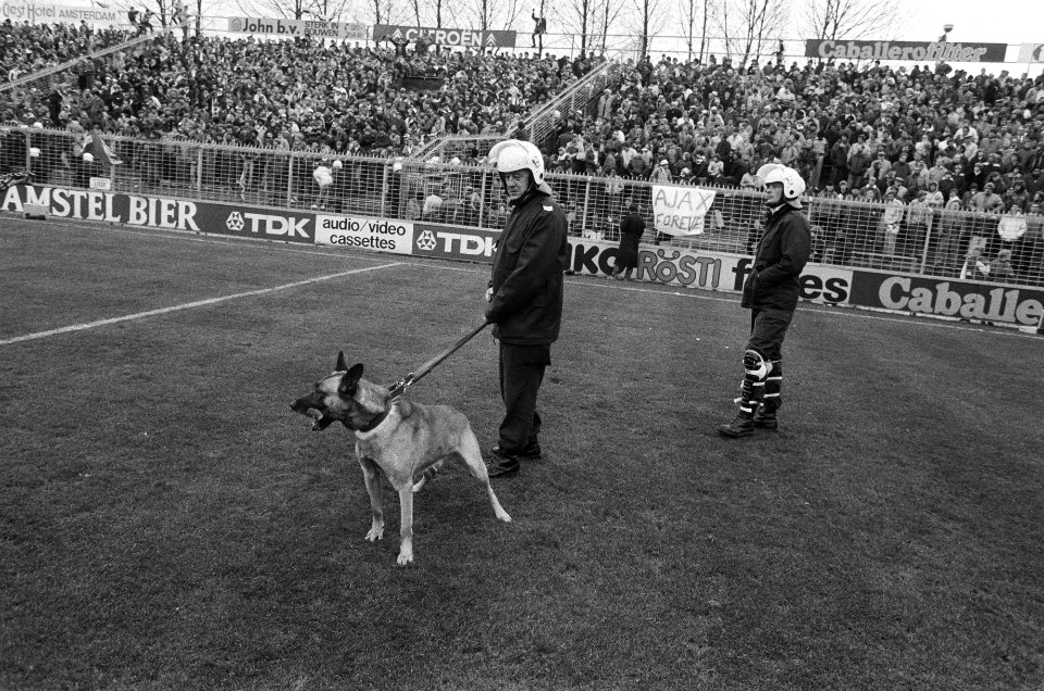 ME-ers met honden op het veld, Bestanddeelnr 932-4083