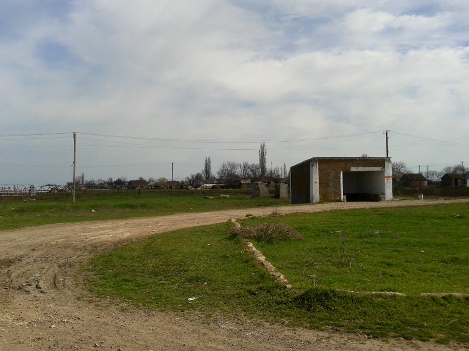 MedvedevkaCr 4