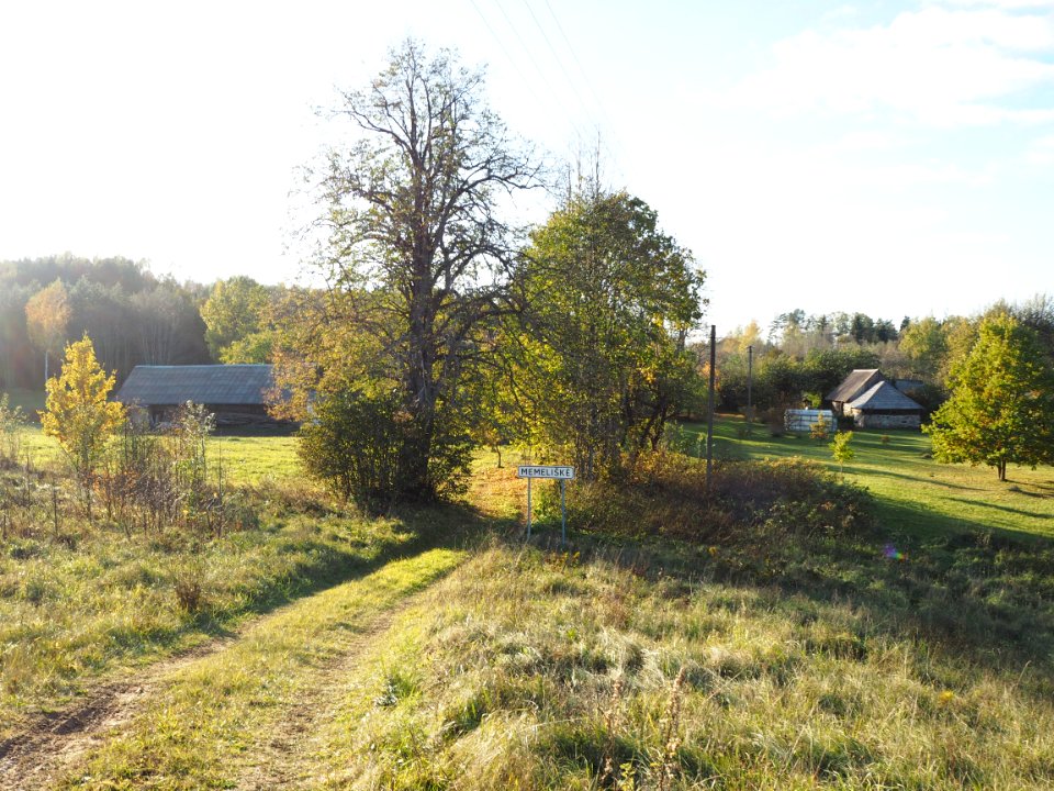 Memeliškė, 2016