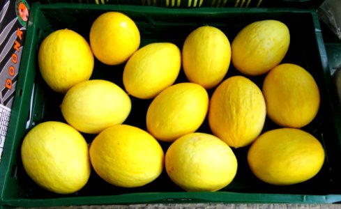 Melons in Freiburg - DSC06501