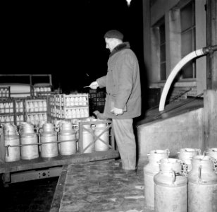 Melkfabriek een man telt hoeveelheid melkbussen die op de vrachtwagen zijn gela, Bestanddeelnr 252-9463