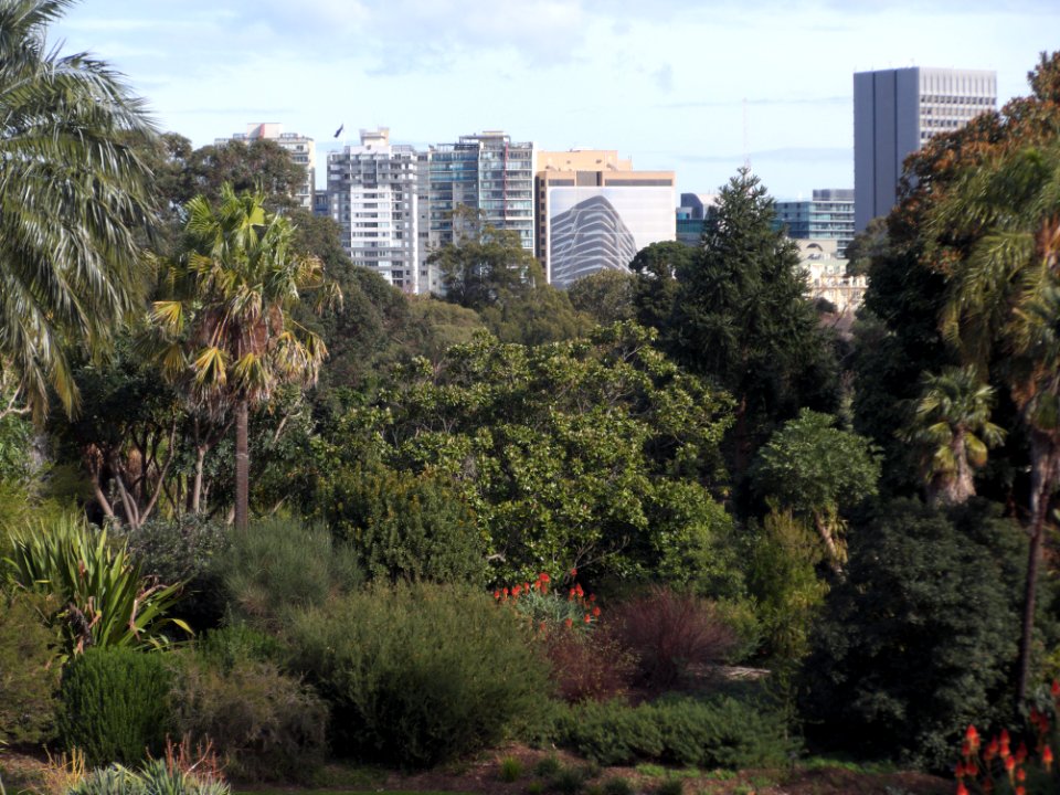 Melbourne Botanic Gardens view towards St Kilda Road 20180726-021