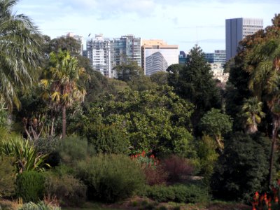 Melbourne Botanic Gardens view towards St Kilda Road 20180726-021