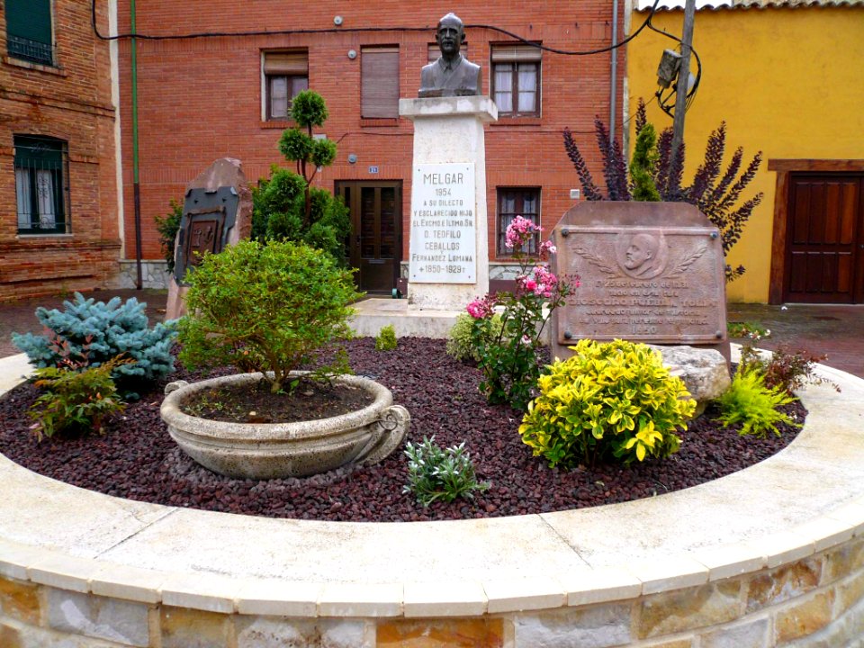 Melgar de Fernamental 11