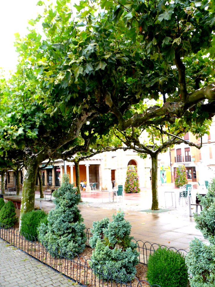 Melgar de Fernamental - Plaza de España 09