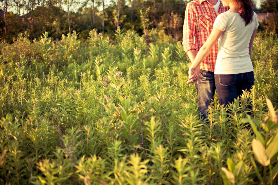 Environment field grass