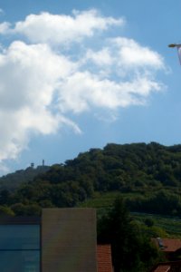 Melibokus Zwingenberg (Bergstraße)
