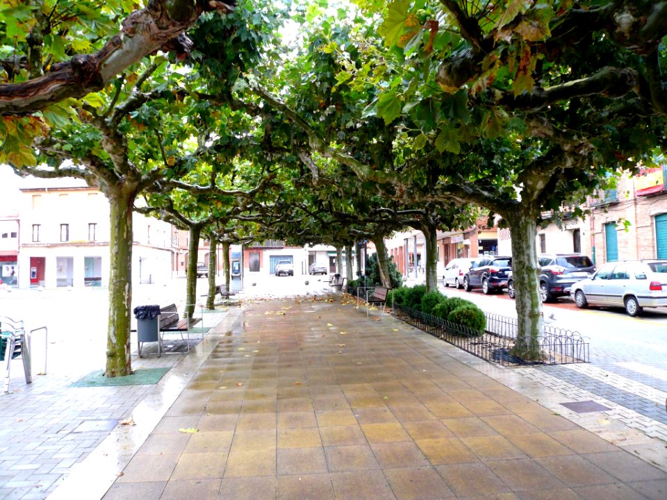 Melgar de Fernamental - Plaza de España 08