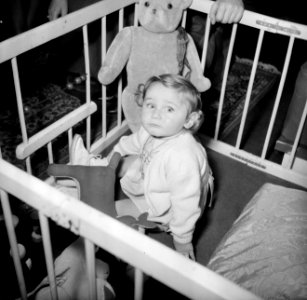 Meisje in de box met haar knuffeldieren, Bestanddeelnr 252-9379