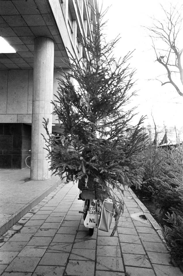 Meisje loopt als kerstman in warenhuis, kerstboom op fiets, Bestanddeelnr 919-9026