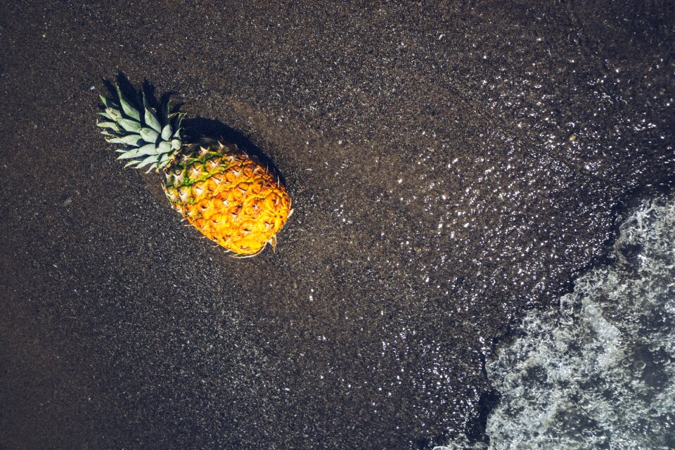 Sand shore summer