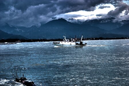 Inverno mare pesce