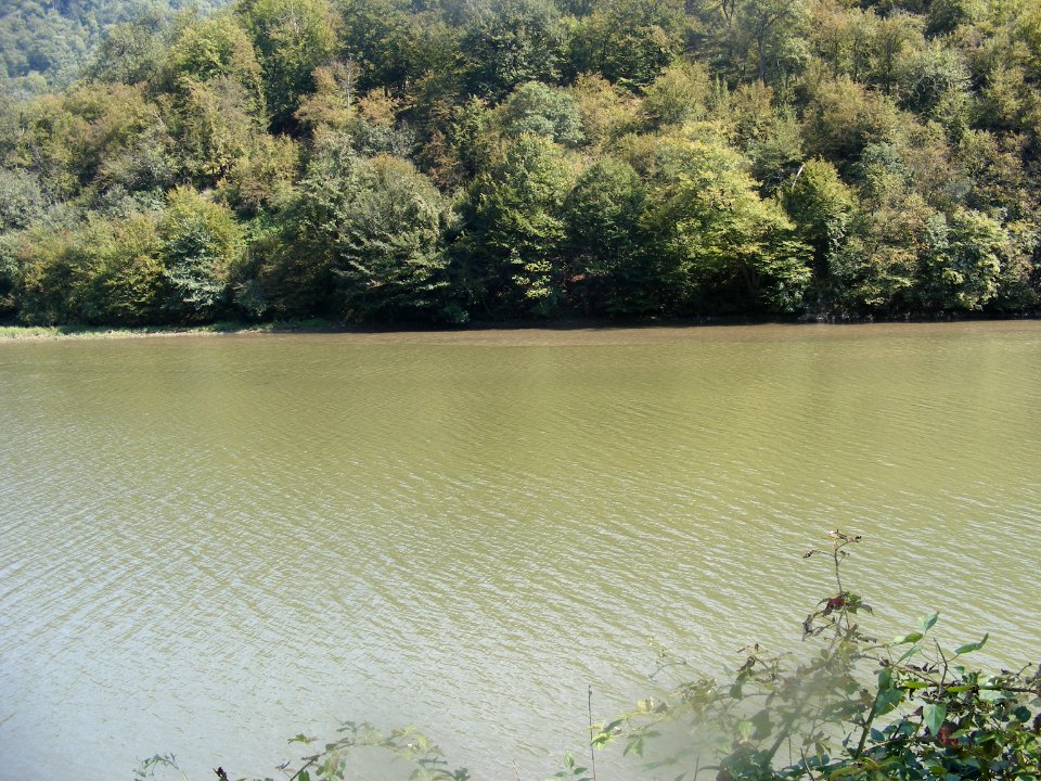 Mehedinți, zona golfului Bahna (47)