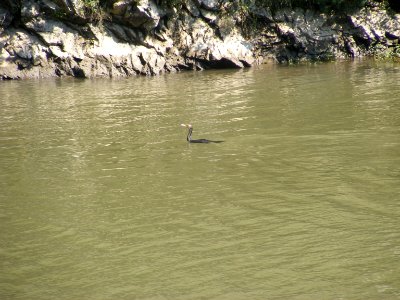 Mehedinți, zona golfului Bahna (43)