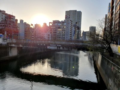 Meguro river in Gotanda 2 photo