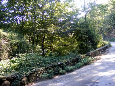 Mehedinți, zona golfului Bahna (32)